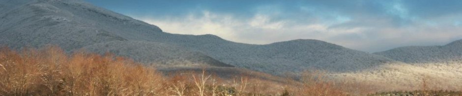 cropped-384091_345929508765775_813582007_n.jpg